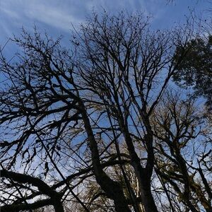 Meet your Posher, Em